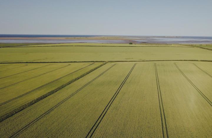 agriculture and minerals