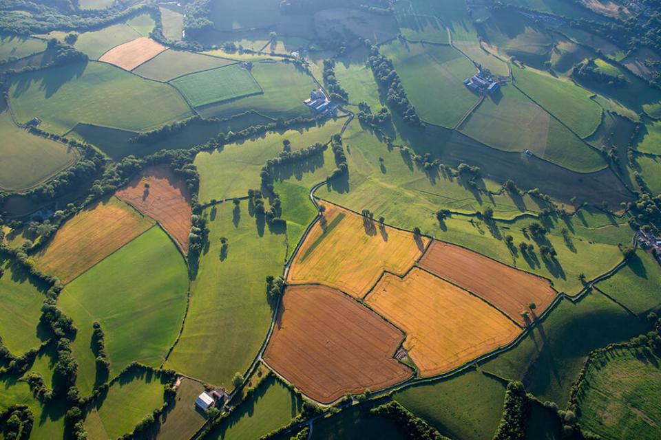 Biodiversity net gain: an opportunity for landowners?