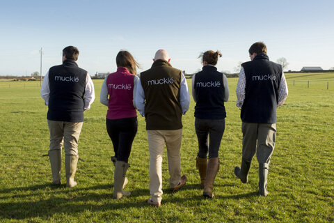 5 members of muckle's team walking away from the camera