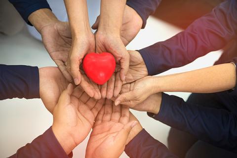 A group of hands holding a red heart