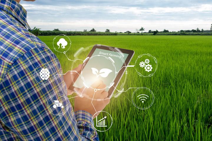 A man using a tablet whilst overlooking a field of grass