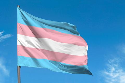 The transgender pride flag, with light blue, light pink and white stripes, flying over a blue sky