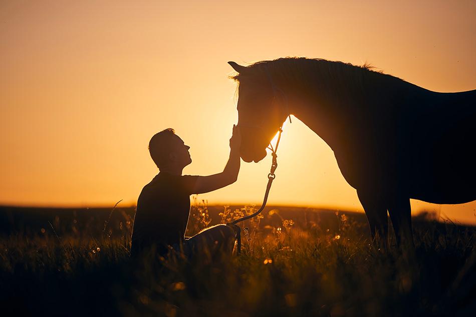 Man taking care of his horse in a field