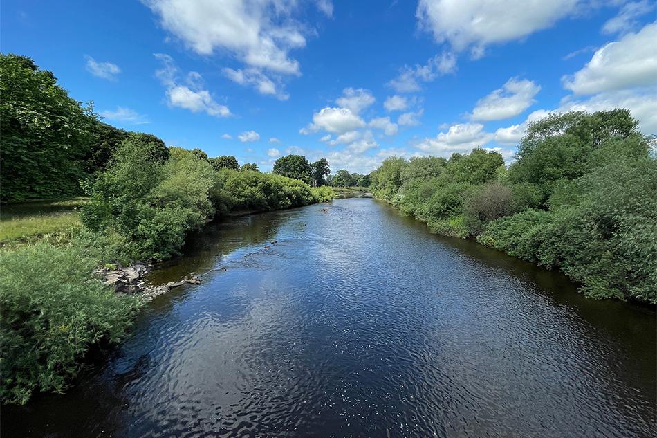 river running through a green field