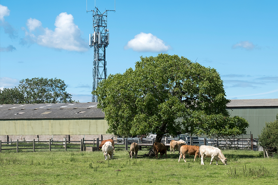 electronic comms 950