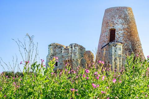 St Benet's Abbey Ruin in the Norfolk Broads