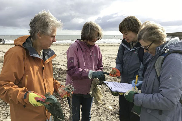 Turning the tide on beach litter