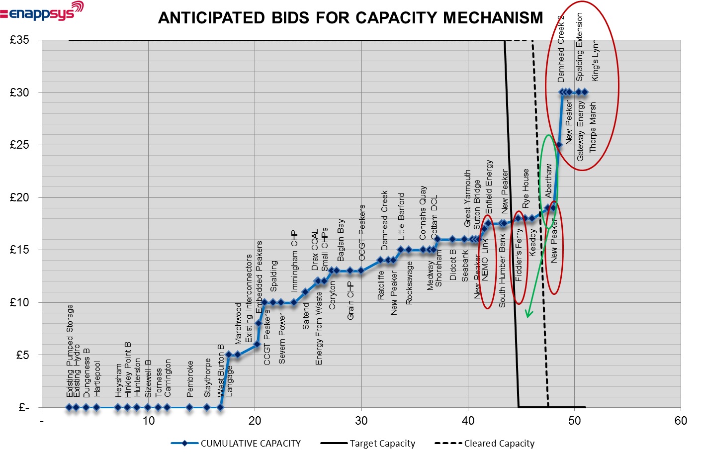 Bids for Capacity Mechanism