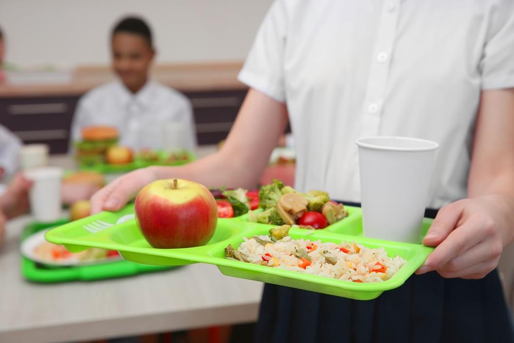 Food for thought: the role schools play in improving children’s food insecurity