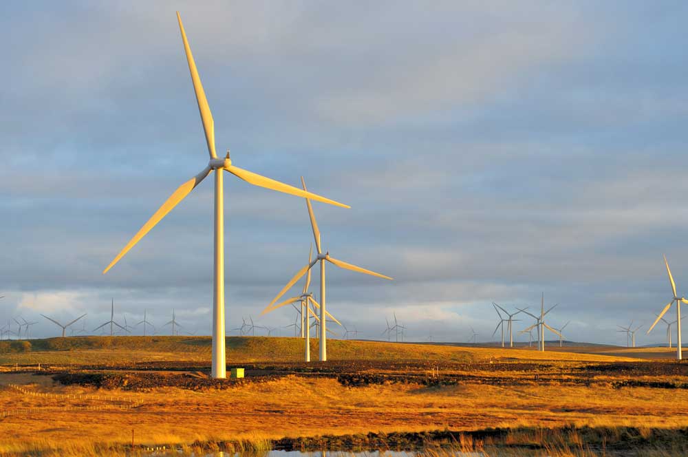 Surge in wind power more than just bluster
