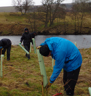 Planting Trees