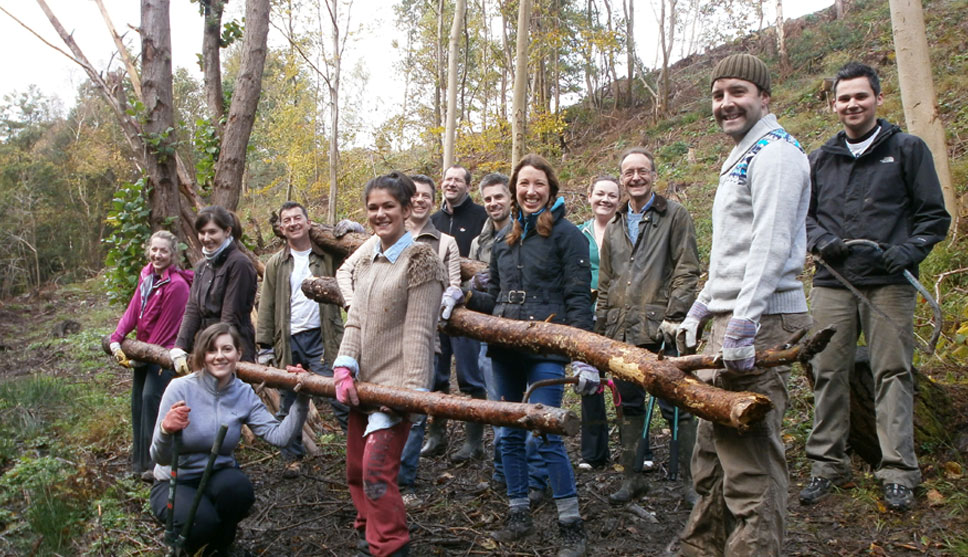 Law Firm Lends a Hand to Charity's Woodland Project