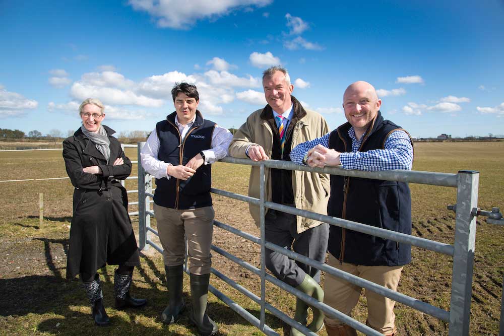 David Towns to lead new Agriculture, Estates & Rural Property team