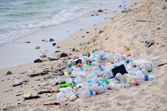 Plastic Rubbish on Beach
