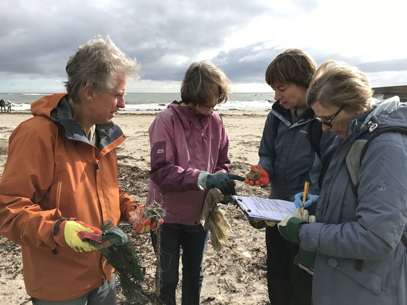 Volunteers cleaning up Northumberland's coastline