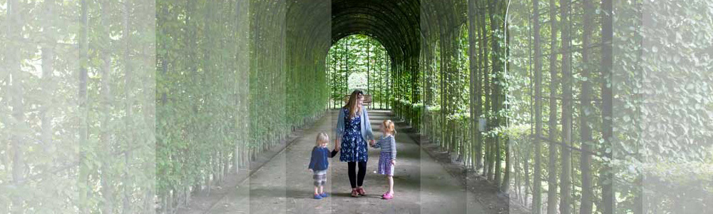 Vine archway at Alnwick gardens